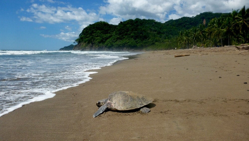 Playa Punta Islita